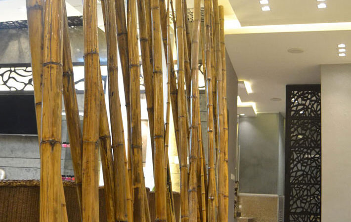 EUPHORIA SPA  